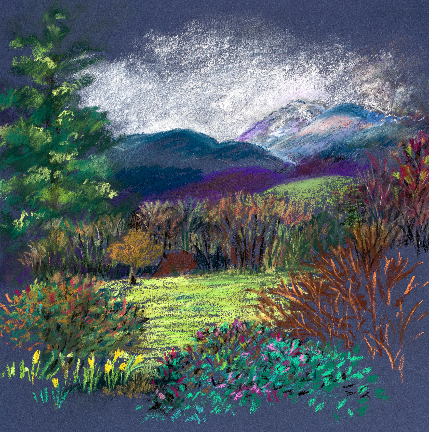 Anne Mackinnon - Early Spring Lake District