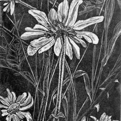 black and white print of flowers by Ruth Law